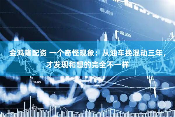 金鸿隆配资 一个奇怪现象：从油车换混动三年，才发现和想的完全不一样