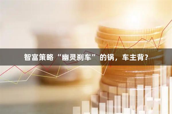 智富策略 “幽灵刹车” 的锅，车主背？